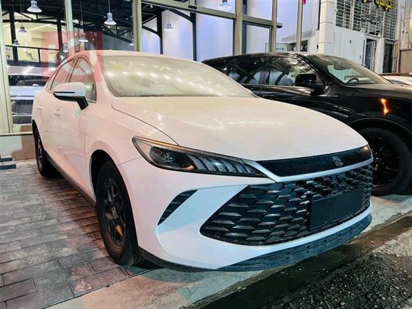 بي واي دي Qin Plus 2025 للبيع في العراق - النجف